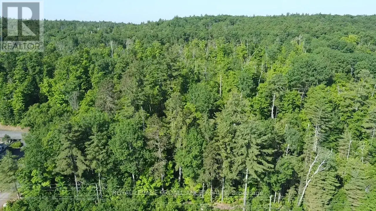 17295 Highway 41, Addington Highlands, Ontario  K0H 1K0 - Photo 2 - X12251466