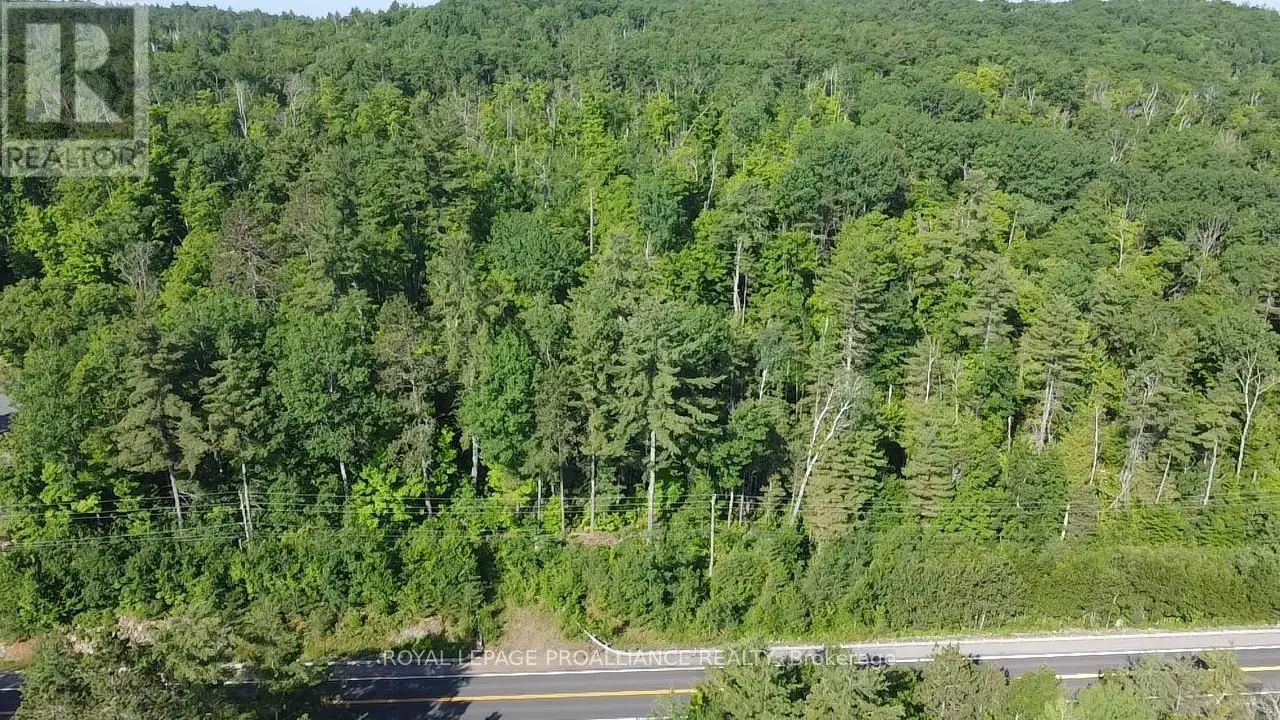 17295 Highway 41, Addington Highlands, Ontario  K0H 1K0 - Photo 3 - X12251466