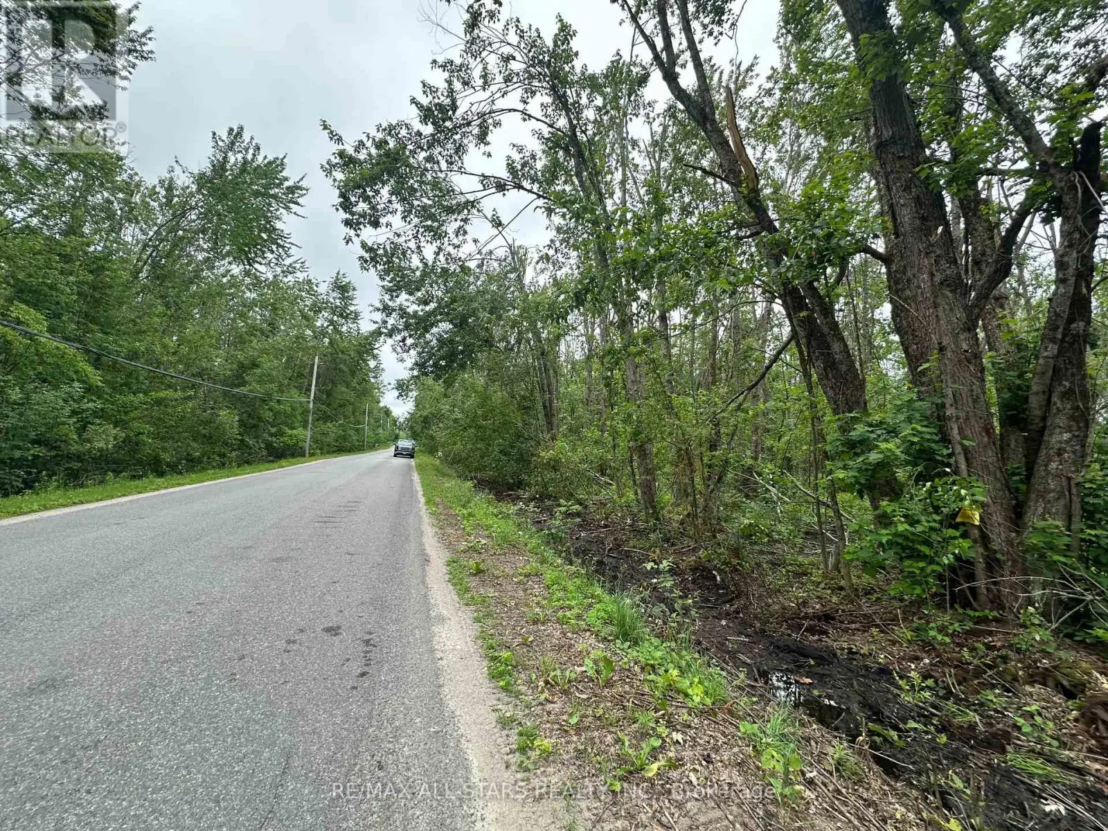 20 Lot Tate's Bay Road, Trent Lakes, Ontario  K0M 1A0 - Photo 3 - X12251635