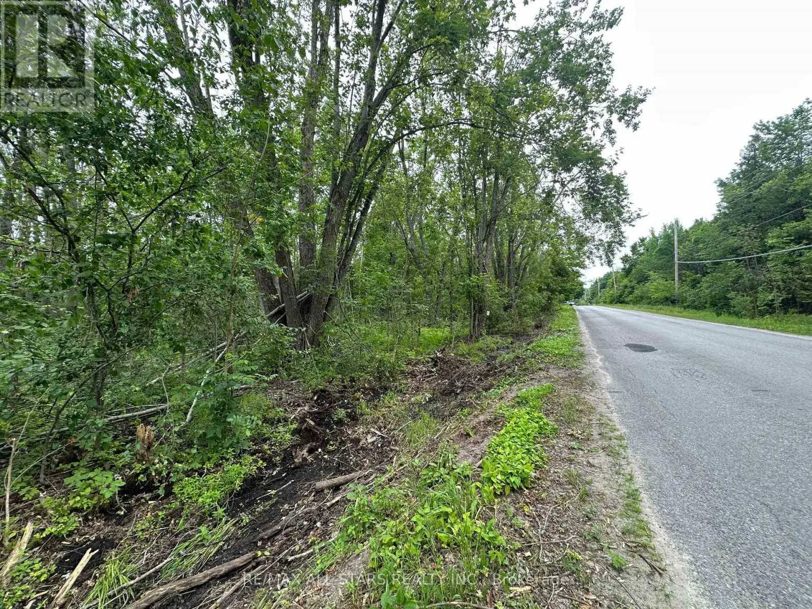 20 1/2 Tate's Bay Road, Trent Lakes, Ontario  K0M 1A0 - Photo 3 - X12251694