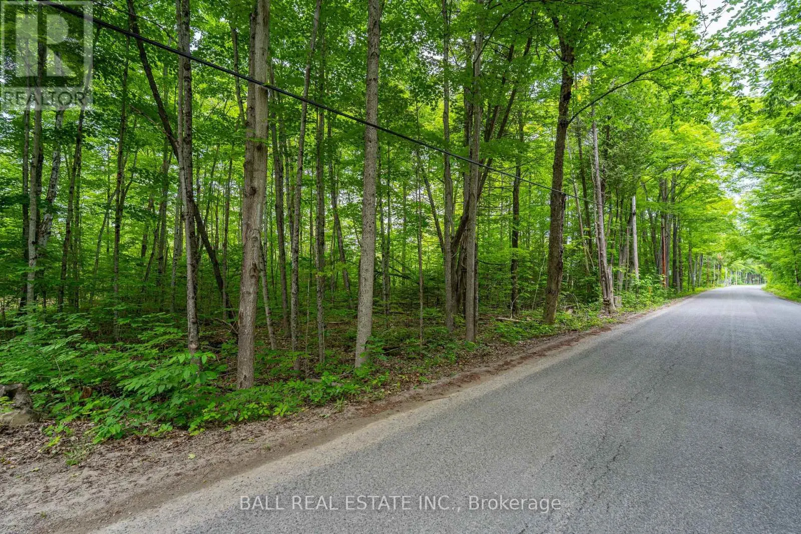 0 Mill Line Road, Trent Lakes, Ontario  K0M 1A0 - Photo 2 - X12251920
