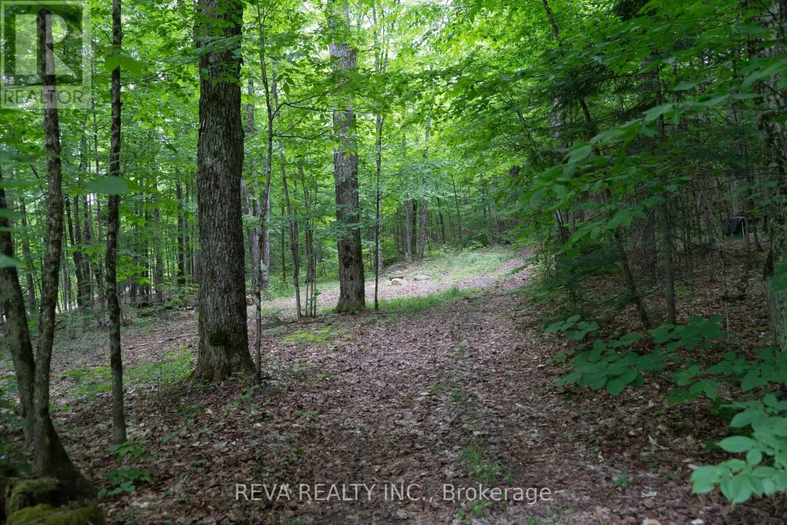 219 Elgin Road, Hastings Highlands, Ontario  K0L 2K0 - Photo 3 - X12252060