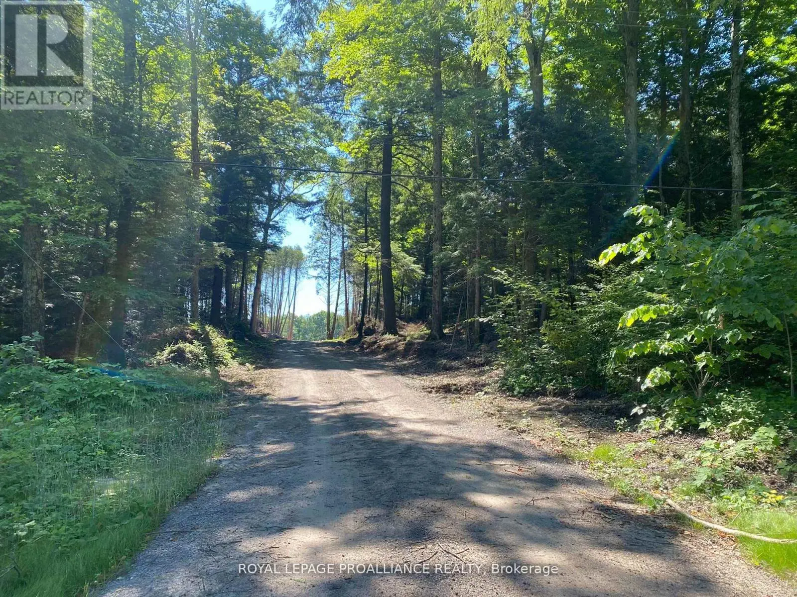 Pt Lt 3 County Rd 45, Hamilton Township, Ontario  K0K 1C0 - Photo 1 - X12255449