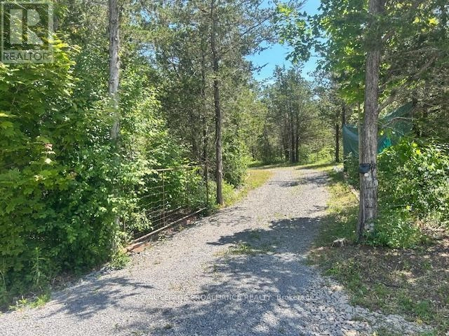 1569 County Road 24, Prince Edward County, Ontario  K0K 2P0 - Photo 2 - X12255734