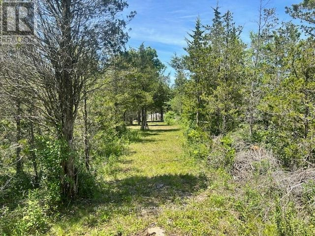 1569 County Road 24, Prince Edward County, Ontario  K0K 2P0 - Photo 3 - X12255734