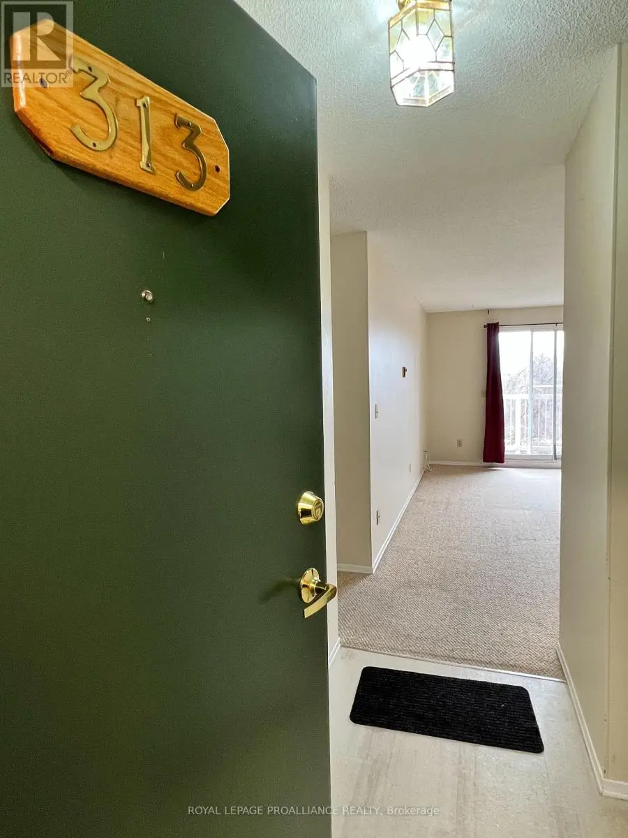 313 - 175 Haig Road, Belleville, Ontario  K8N 5R7 - Photo 2 - X12256314