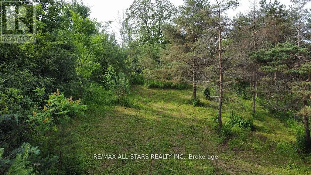283 Bland Line, Cavan Monaghan, Ontario  L0A 1C0 - Photo 2 - X12256480