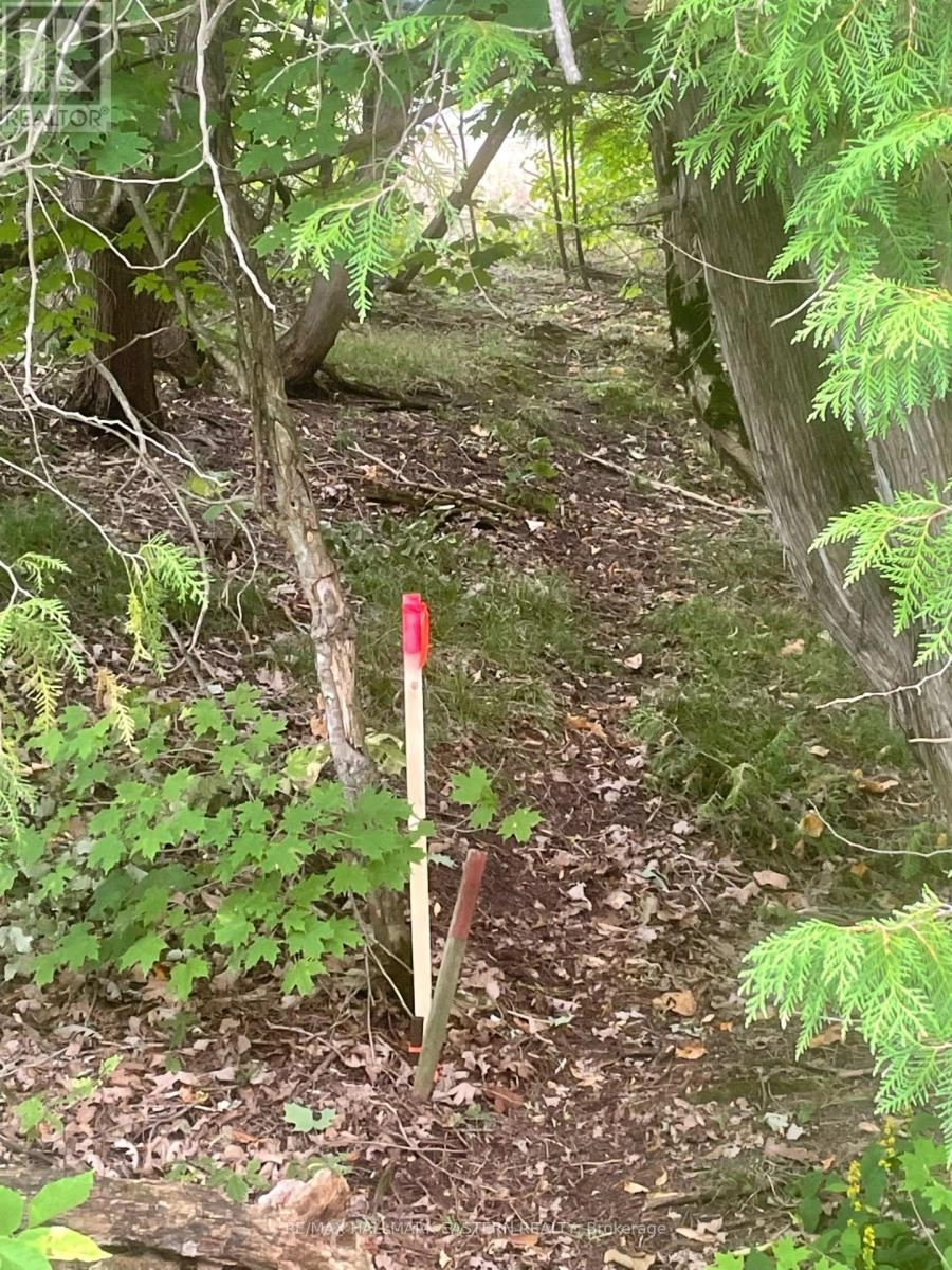 00 Adams-Cummings Road, Trent Lakes, Ontario  K0L 2J0 - Photo 2 - X12256603