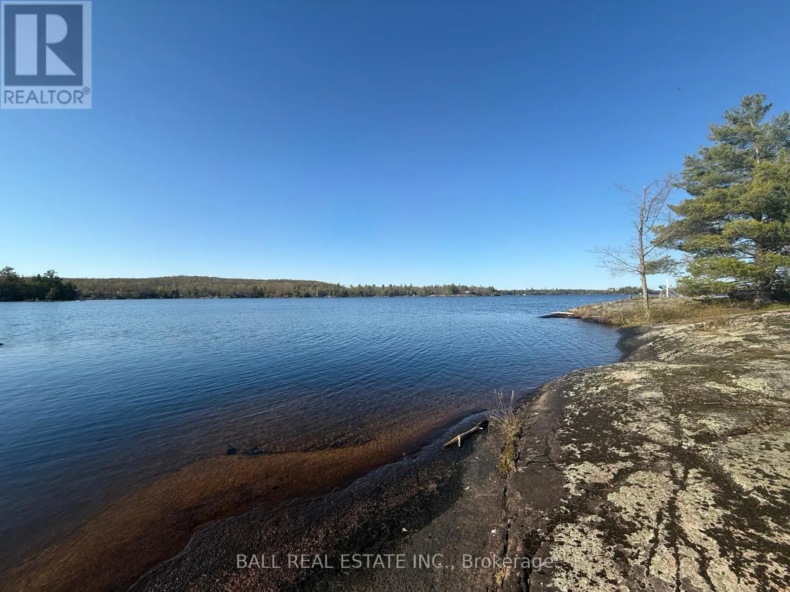 1020 Island 35, Stoney Lake, Douro-Dummer, Ontario  K0L 2H0 - Photo 3 - X12161931