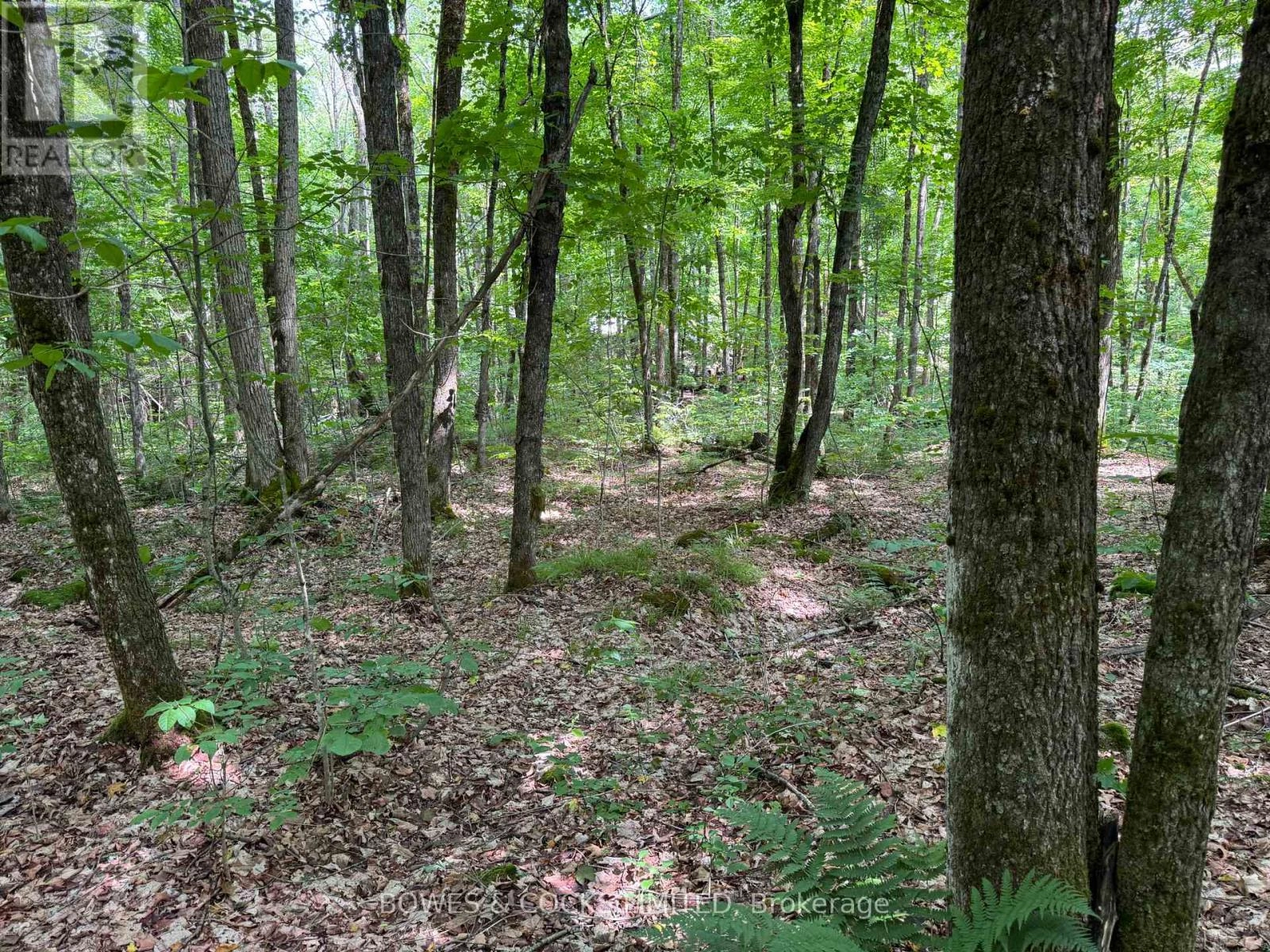 1850 The South Road, Wollaston, Ontario  K0L 1P0 - Photo 2 - X12257287