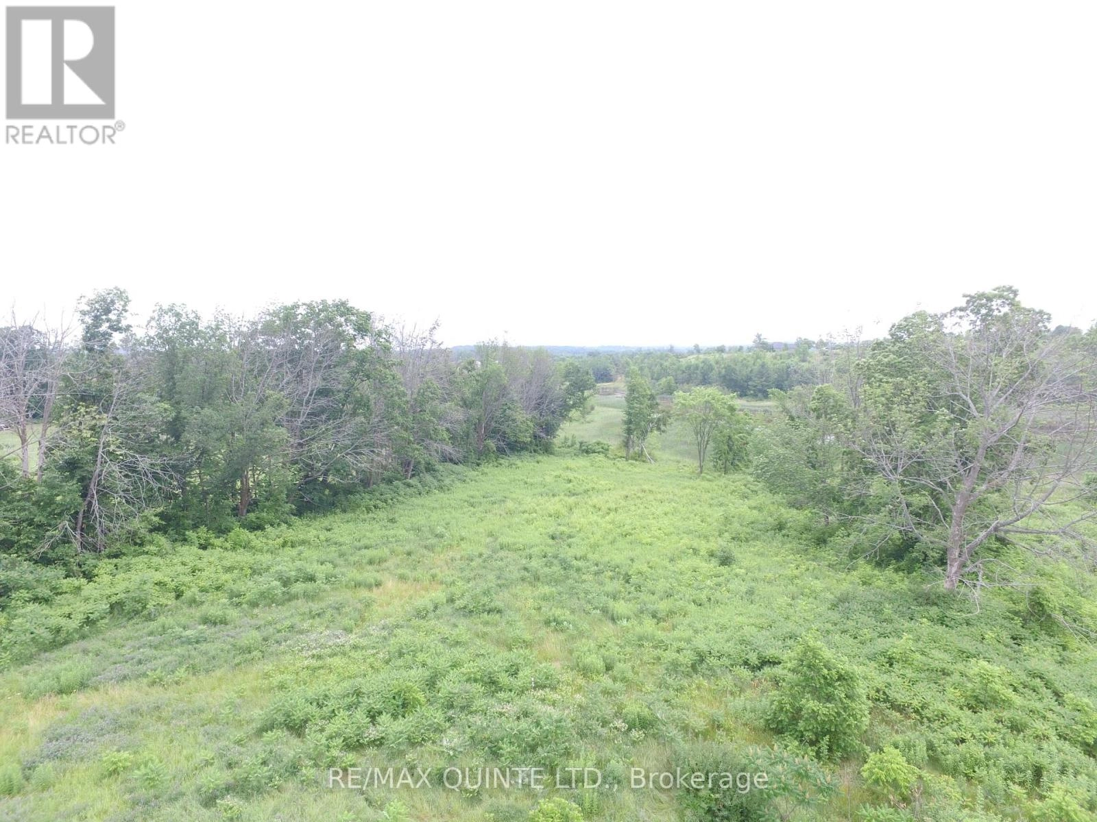 145 Portage Street, Trent Hills, Ontario  K0L 1L0 - Photo 3 - X12258447