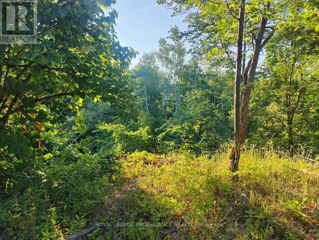 621a Cook Road, Marmora And Lake, Ontario  K0K 2M0 - Photo 8 - X12247207