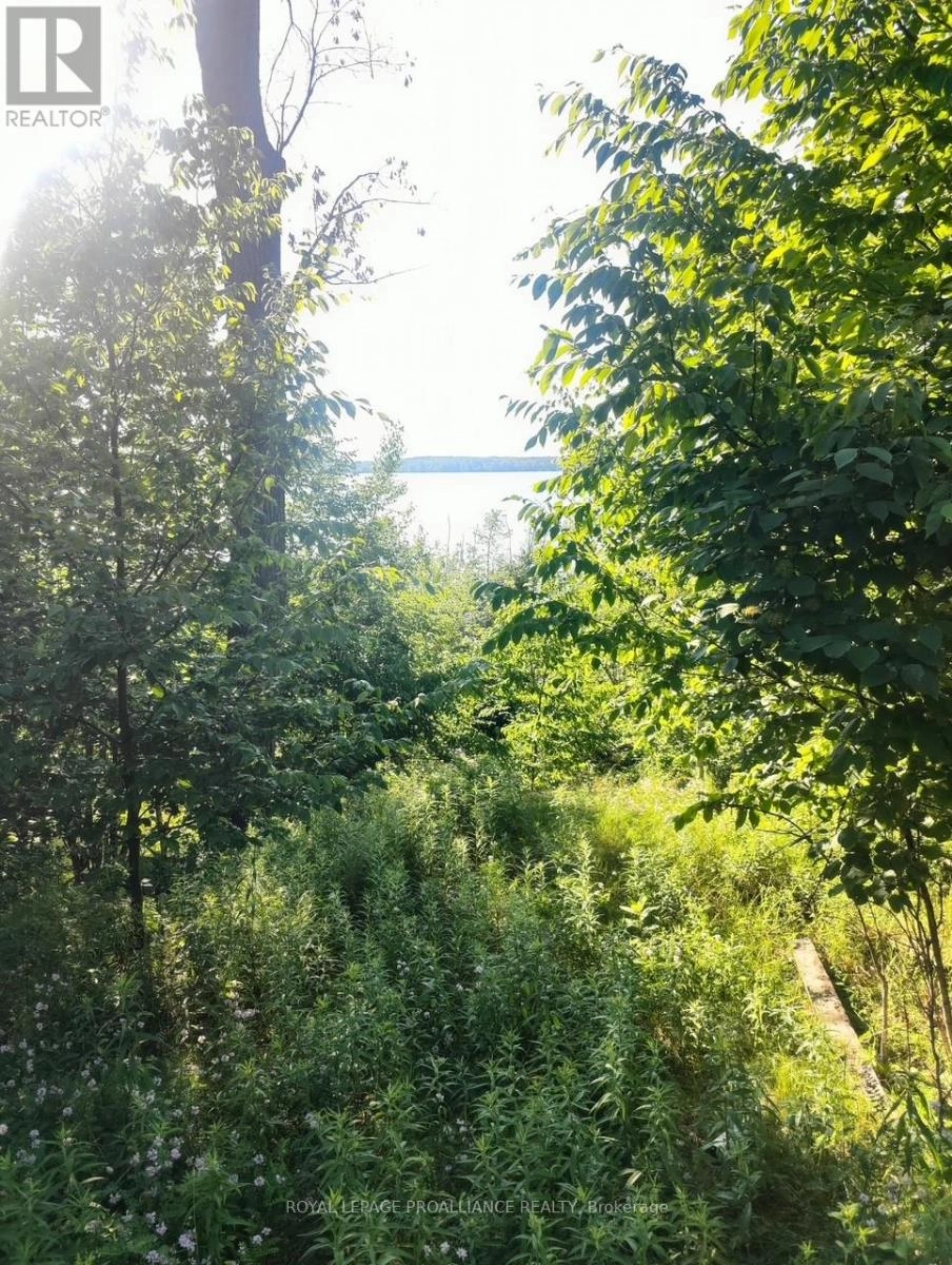 621a Cook Road, Marmora And Lake, Ontario  K0K 2M0 - Photo 5 - X12247207