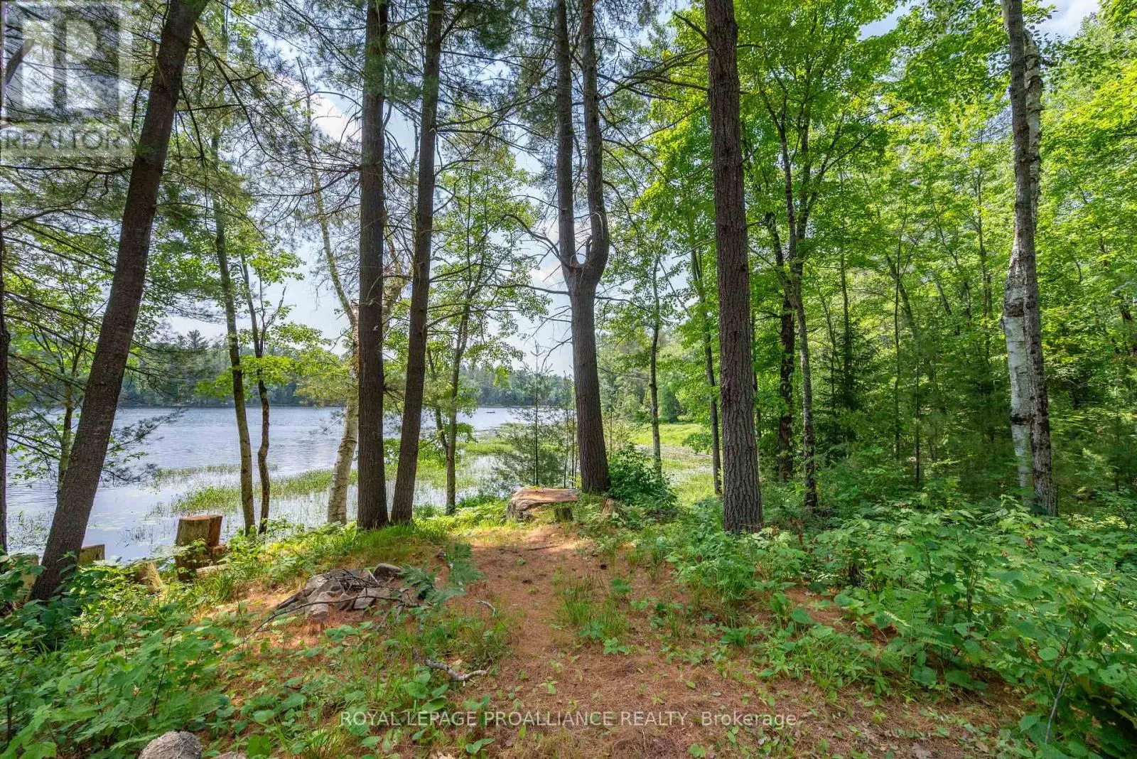 1180 Marshall Lane, North Frontenac, Ontario  K0H 1K0 - Photo 1 - X12260194