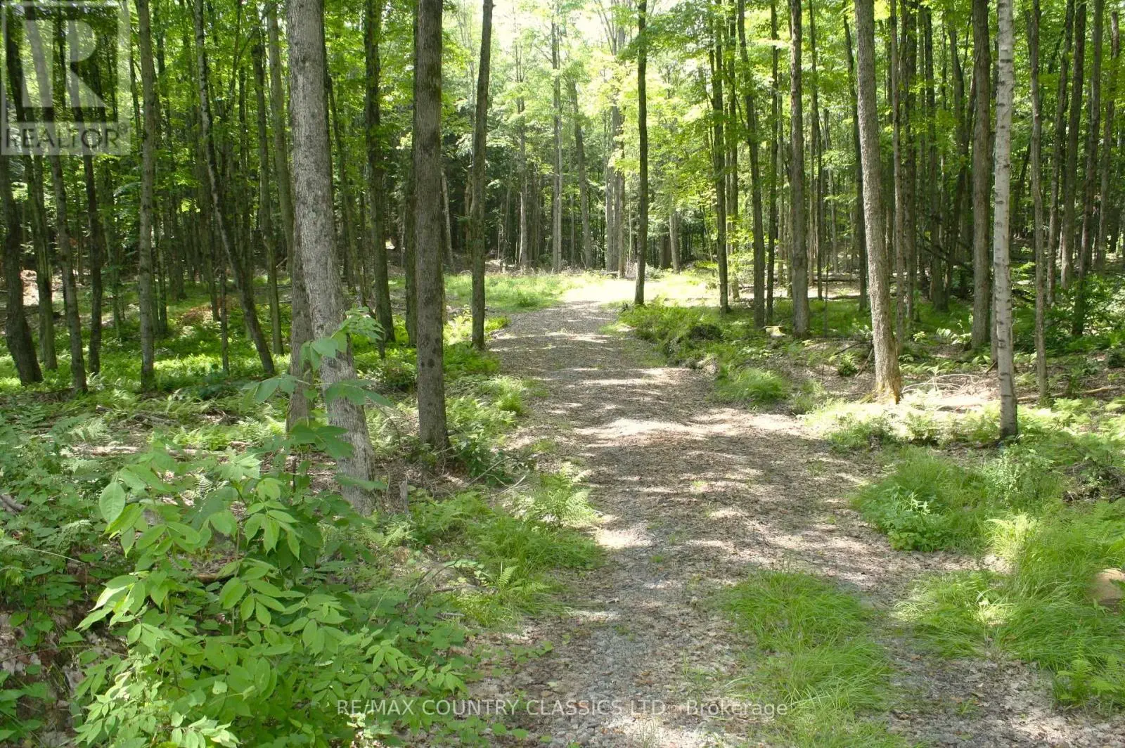 730 Airport Road, Hastings Highlands, Ontario  K0L 1C0 - Photo 2 - X12260566