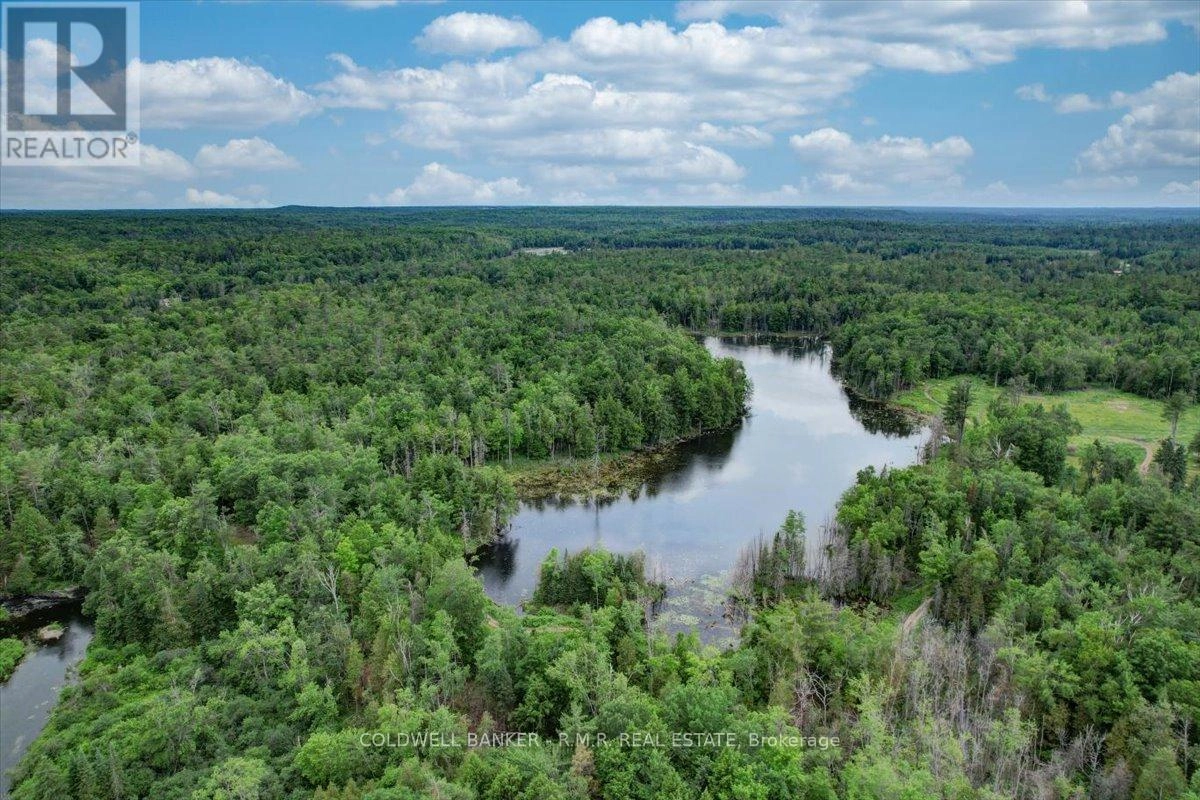 N/a Bass Lake Road, Trent Lakes, Ontario  K0M 1A0 - Photo 1 - X12240017