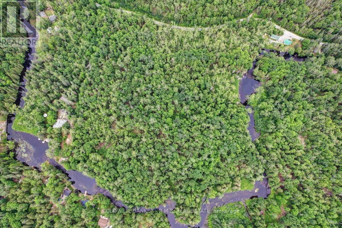 N/a Bass Lake Road, Trent Lakes, Ontario  K0M 1A0 - Photo 2 - X12240017
