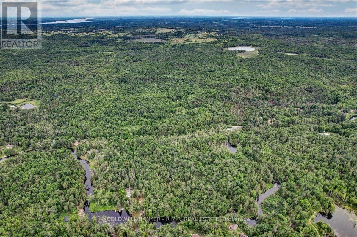 N/a Bass Lake Road, Trent Lakes, Ontario  K0M 1A0 - Photo 3 - X12240017