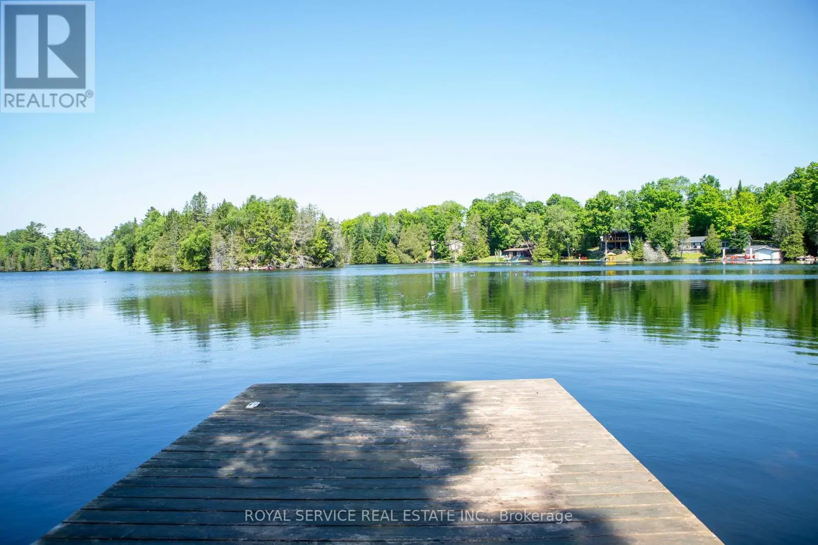 1317 Abrams Road, Highlands East, Ontario  K0L 1C0 - Photo 1 - X12261943