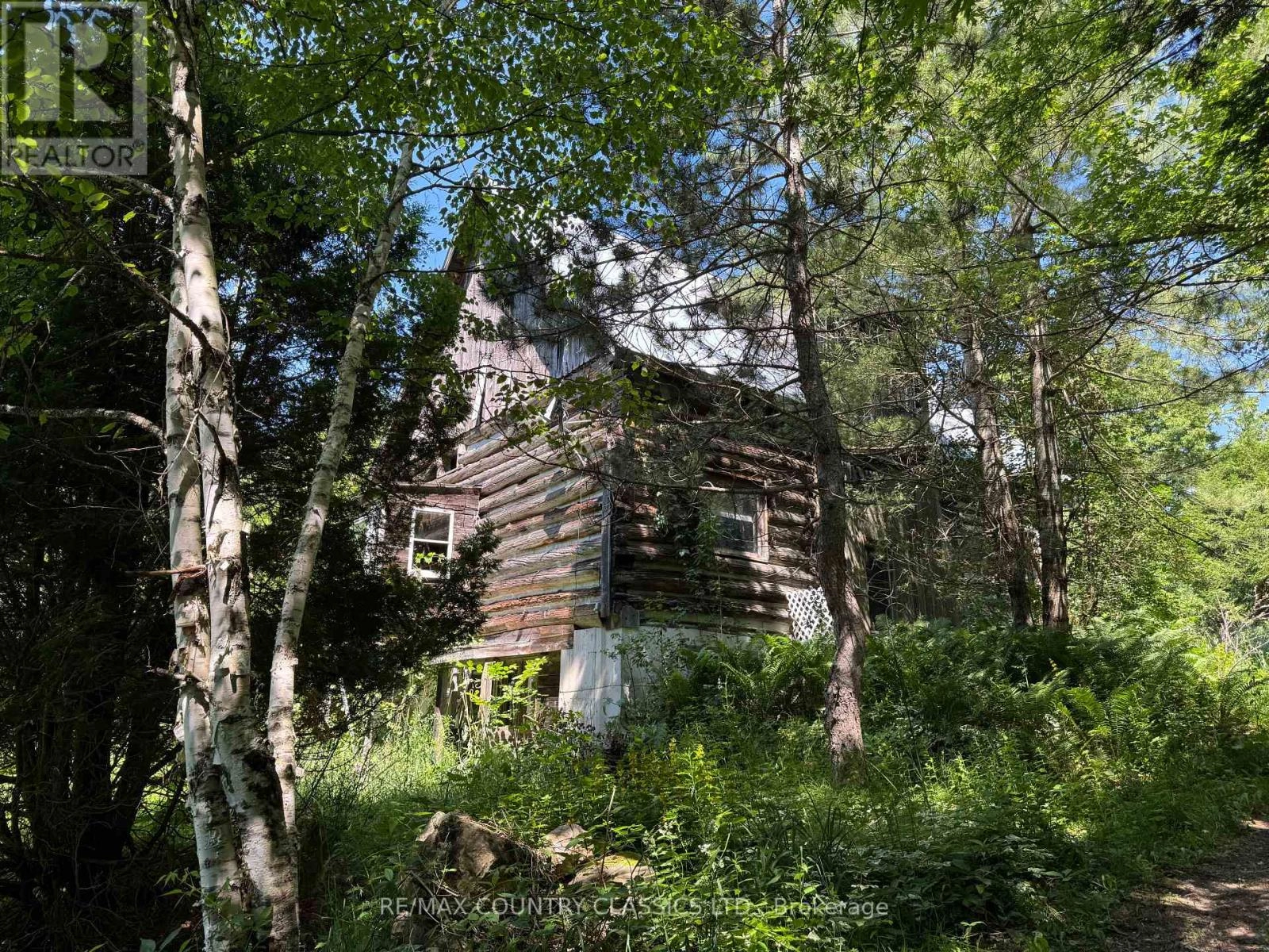 790 Mcdonald Mine Road, Hastings Highlands, Ontario  K0L 1C0 - Photo 1 - X12115088