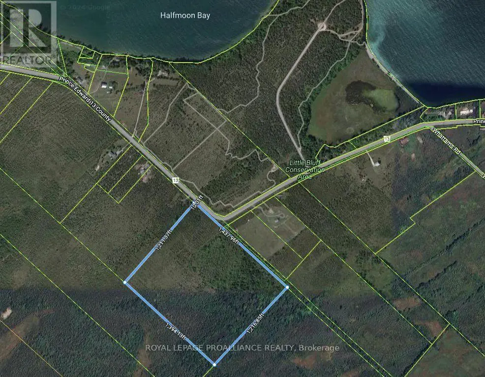 3526 County Rd 13, Prince Edward County, Ontario  K0K 2T0 - Photo 3 - X12263282
