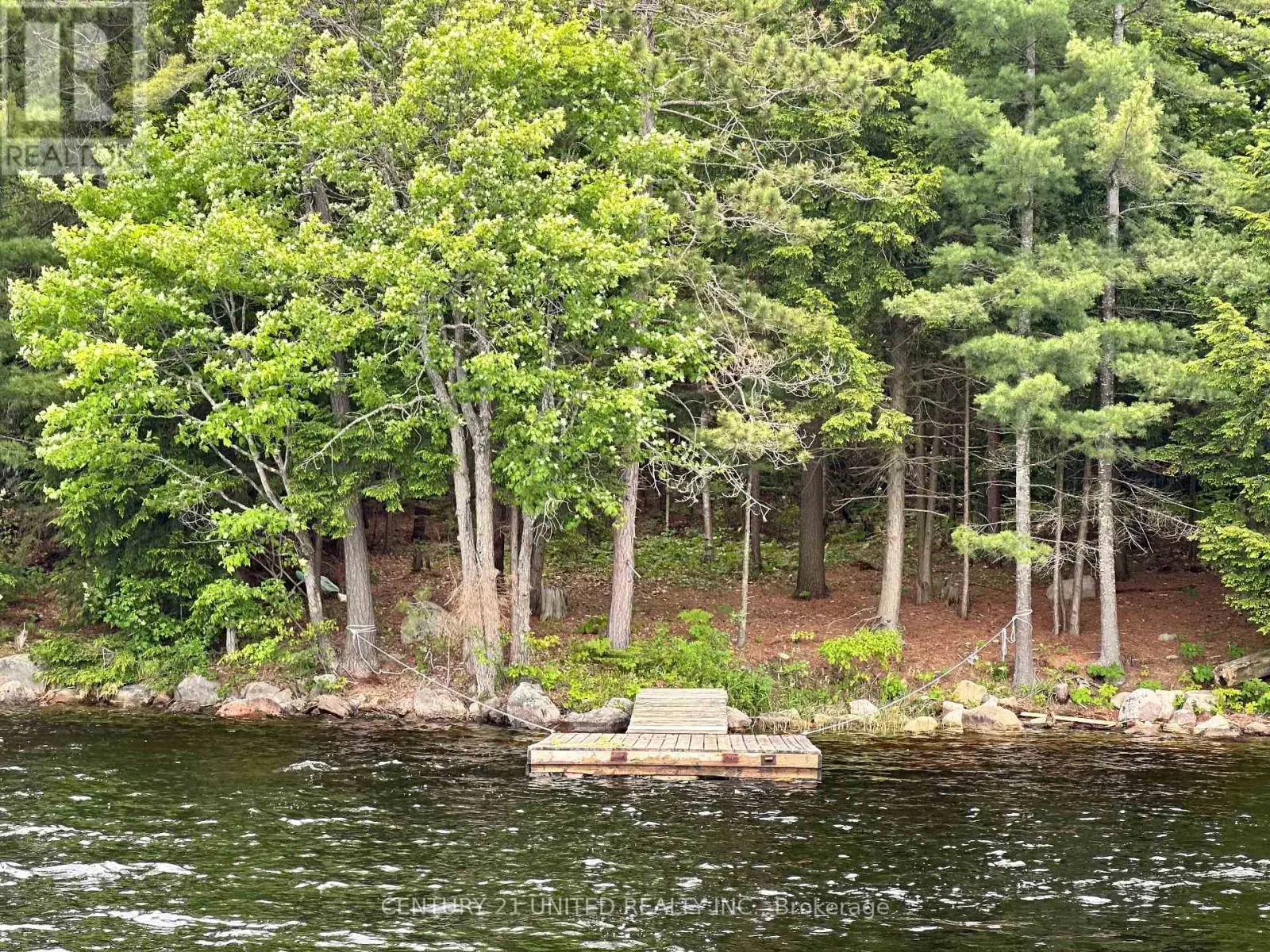 615 Wao Catchacoma Lk, Trent Lakes, Ontario  K0L 1L0 - Photo 1 - X12265009