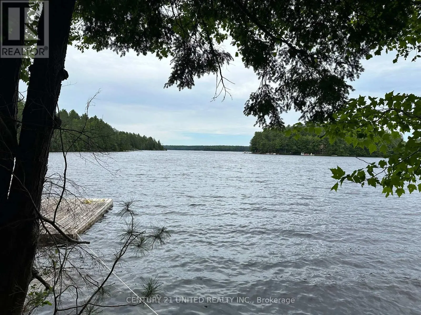 615 Wao Catchacoma Lk, Trent Lakes, Ontario  K0L 1L0 - Photo 3 - X12265009