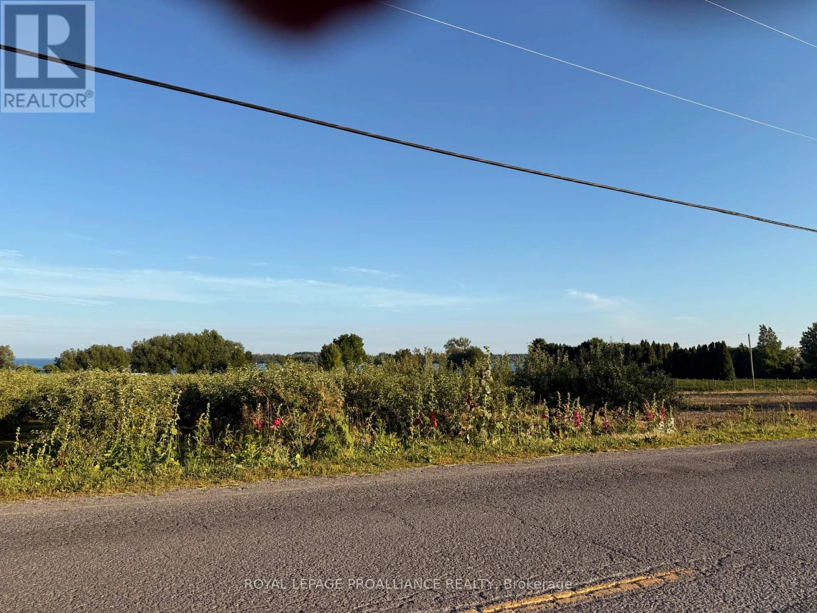 00 County Road 8, Prince Edward County, Ontario  K0K 2T0 - Photo 3 - X12266601