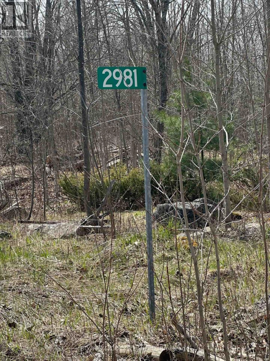 2981 County Road 44, Havelock-Belmont-Methuen, Ontario  K0L 1Z0 - Photo 2 - X12267886