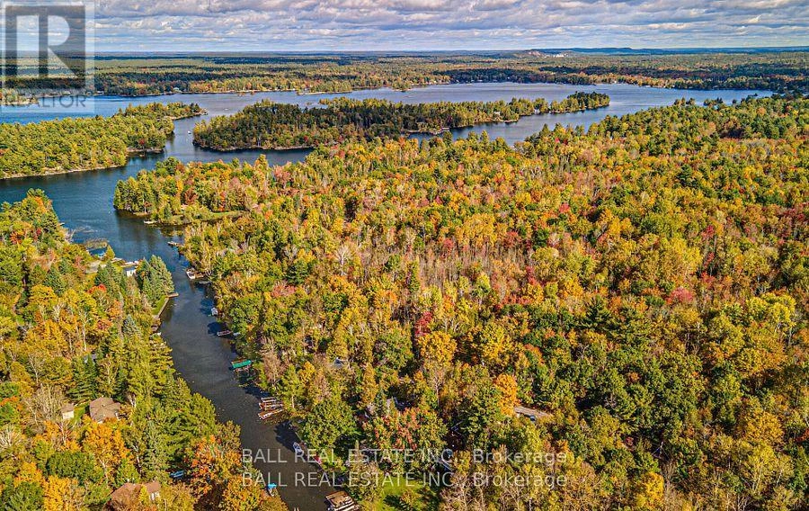 2374 Julia Shore Road E, Douro-Dummer, Ontario  K0L 2H0 - Photo 2 - X12269582