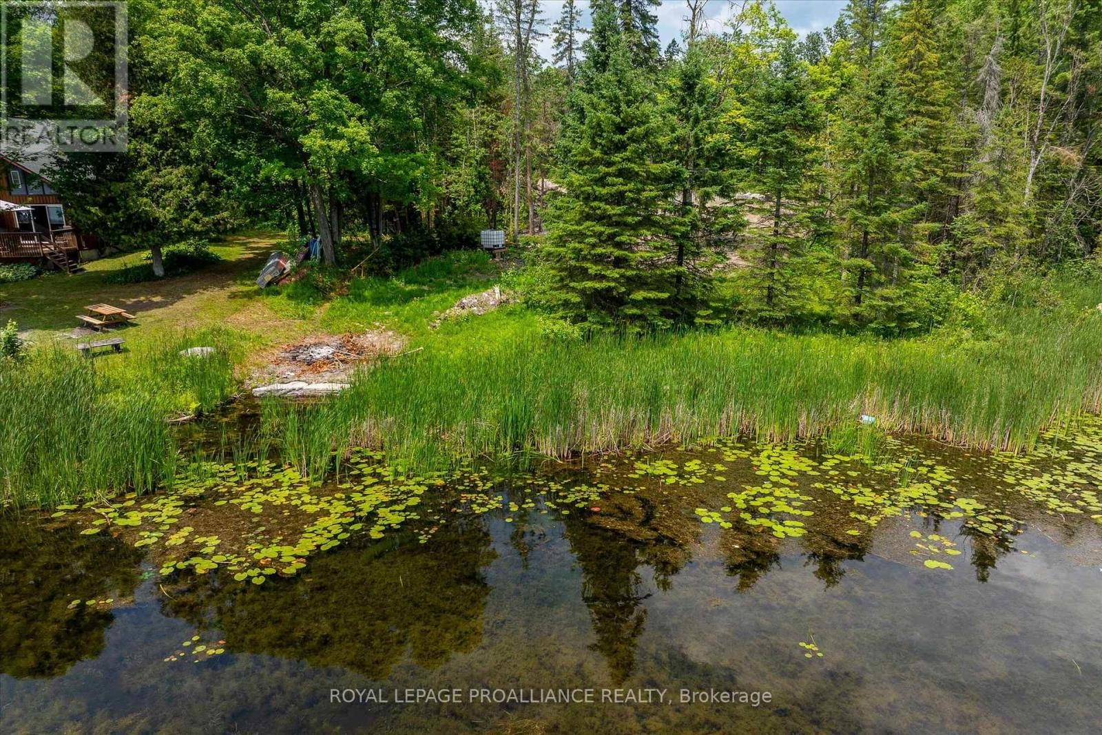 0 Pearce Road, Kawartha Lakes, Ontario  K0M 2B0 - Photo 3 - X12271311