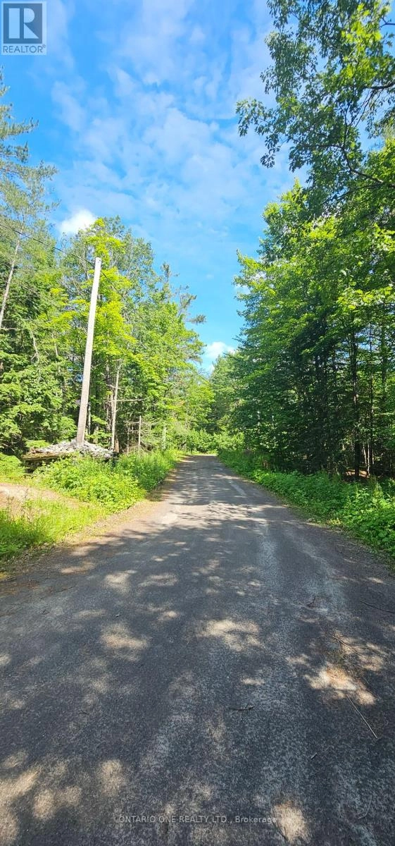 1698 Reay Road, Bracebridge, Ontario  P1P 1R3 - Photo 3 - X12272197