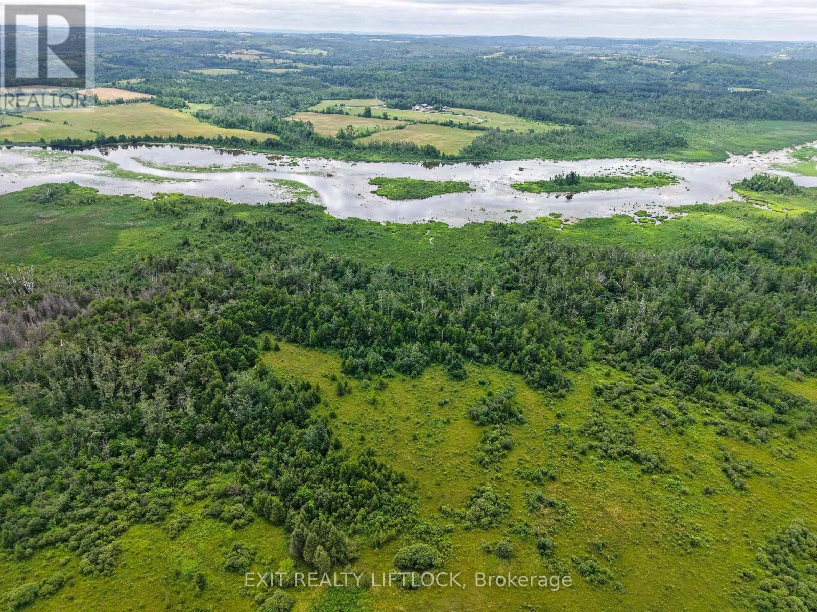 3756 Hwy 7, Kawartha Lakes, Ontario  K0L 2W0 - Photo 5 - X12273660