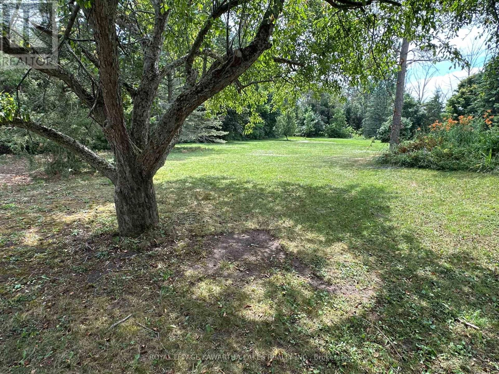 17288 Simcoe Street, Kawartha Lakes, Ontario  K0M 2J0 - Photo 3 - X12275529