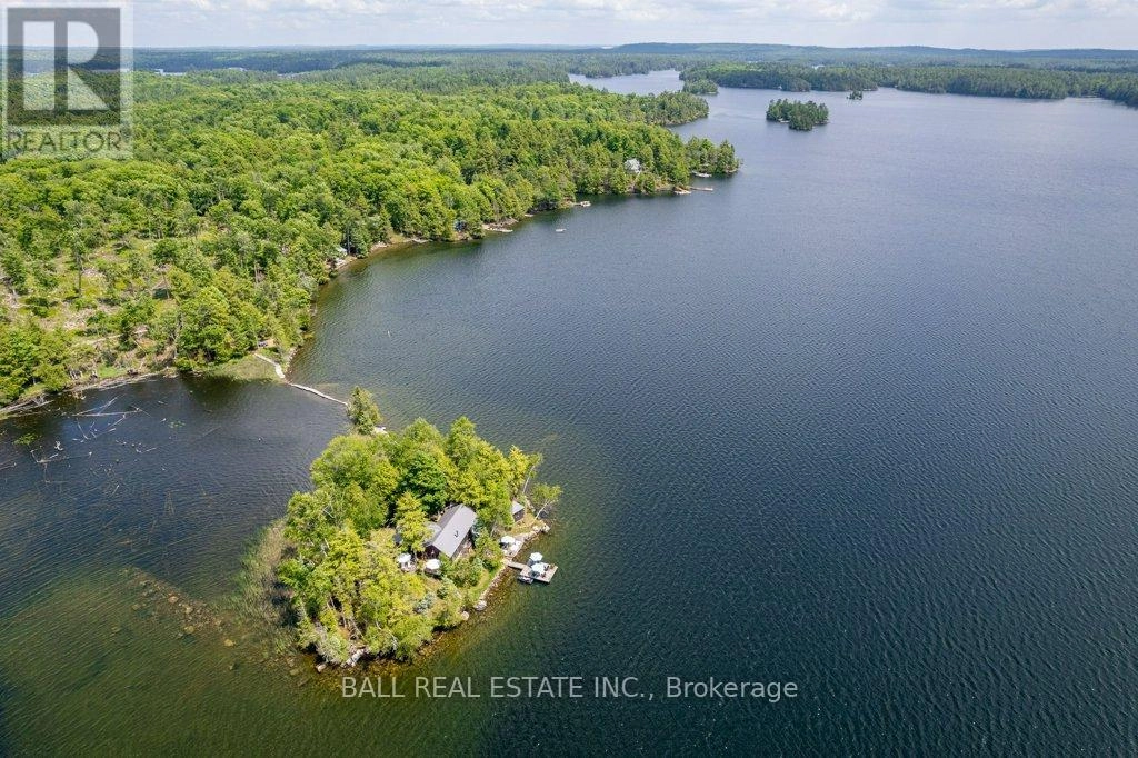 40 Fire Route 89e, North Kawartha, Ontario  K0L 1A0 - Photo 1 - X12207583