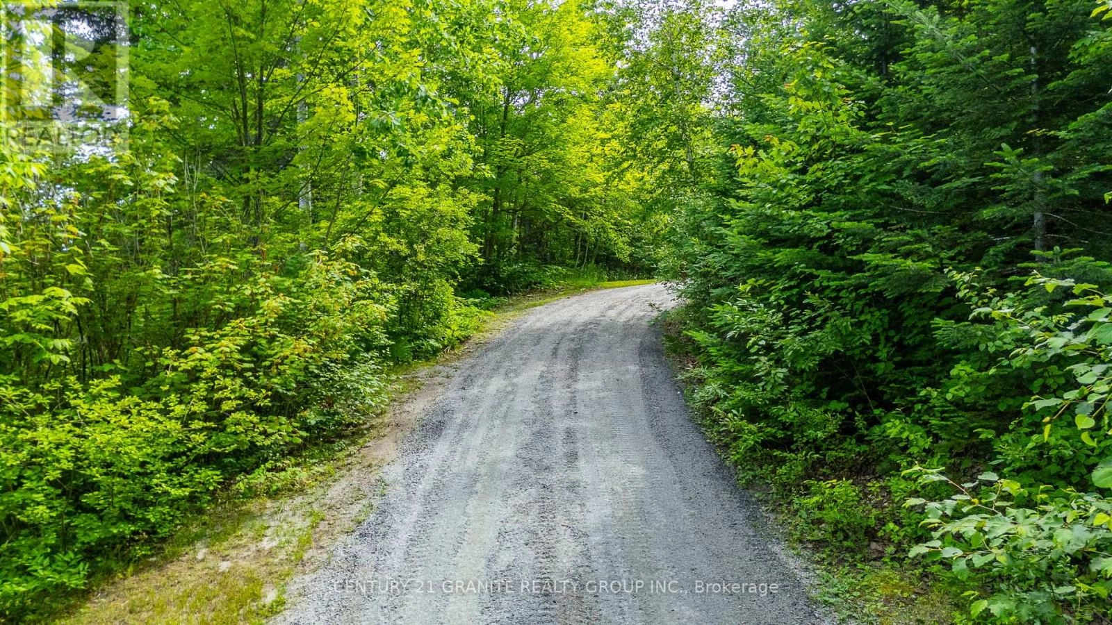 928 Lake St Peter Road, Hastings Highlands, Ontario  K0L 2K0 - Photo 3 - X12278722