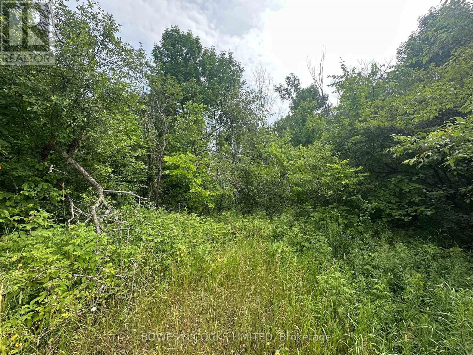 0 Centre Line Road, Marmora And Lake, Ontario  K0K 2M0 - Photo 1 - X12279367