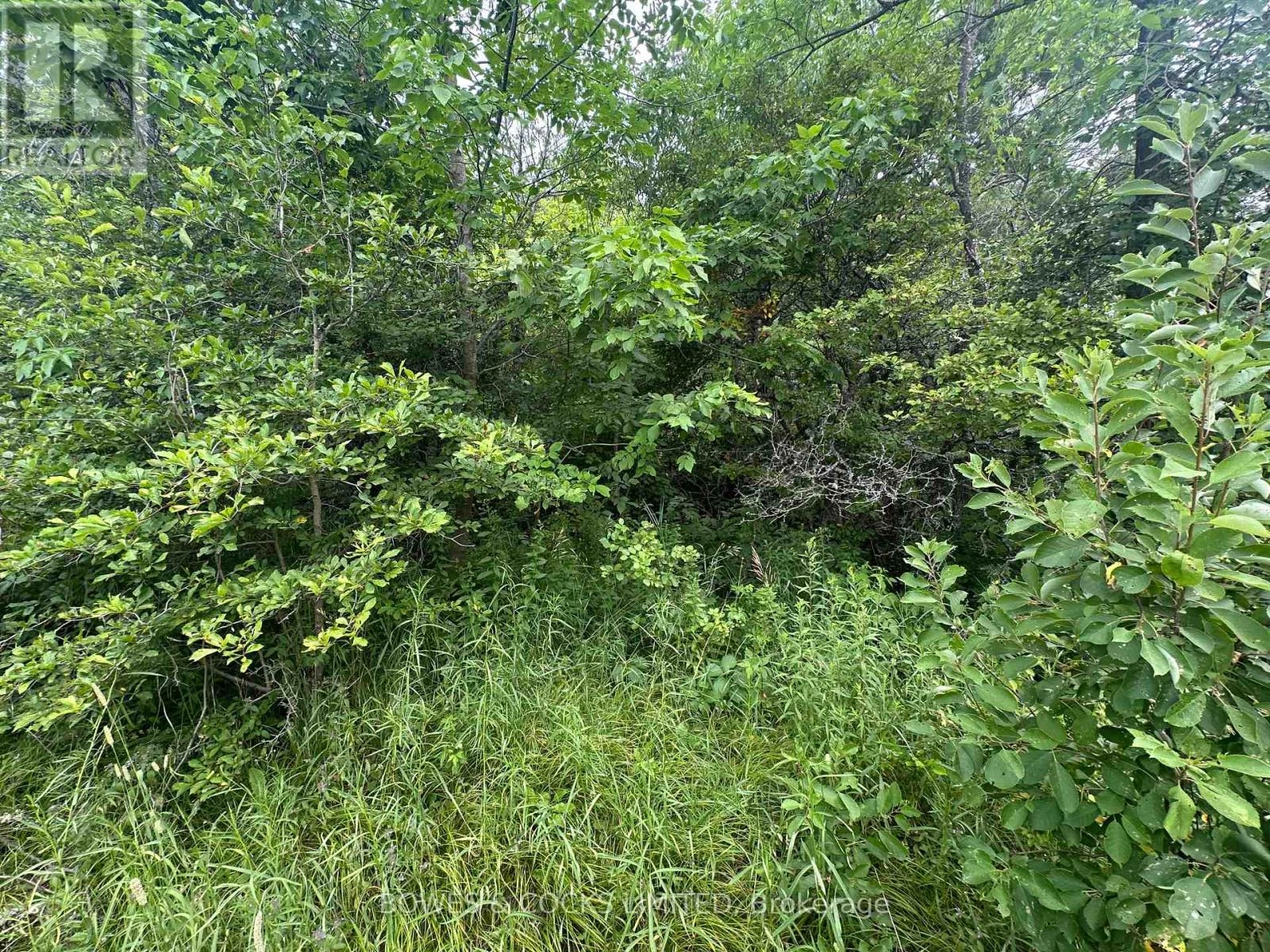 0 Centre Line Road, Marmora And Lake, Ontario  K0K 2M0 - Photo 2 - X12279367