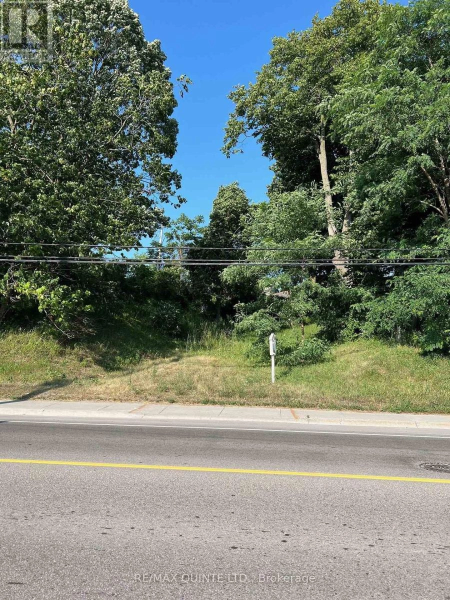 351 Sidney Street, Quinte West, Ontario  K8V 2V1 - Photo 2 - X12279748