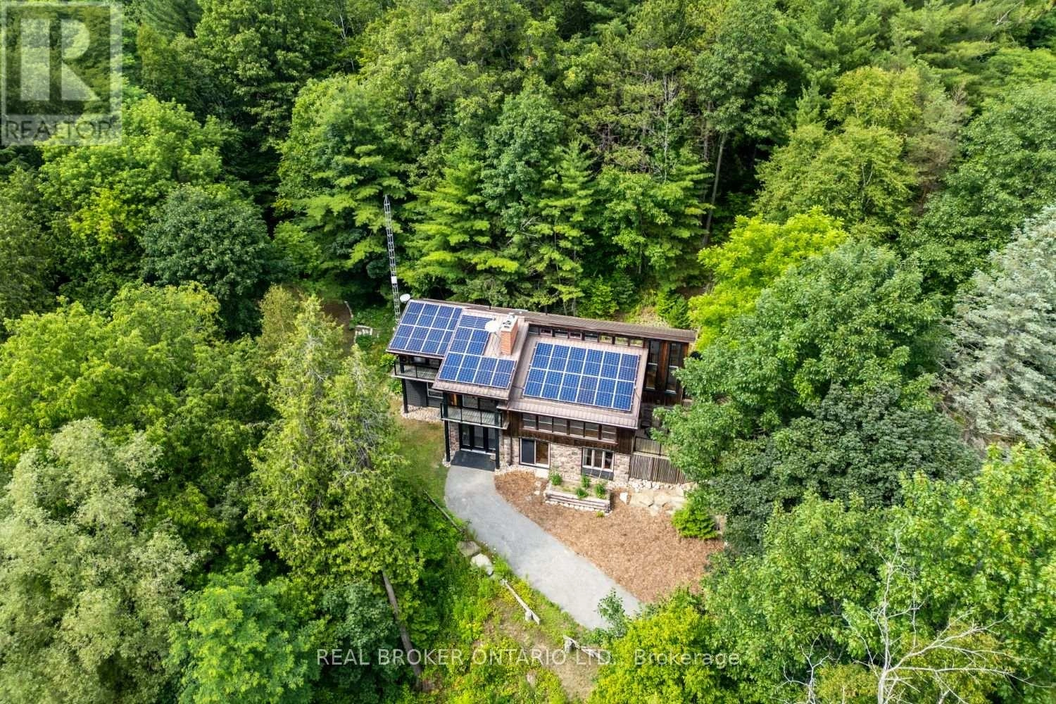 4204 Concession Road 8, Clarington, Ontario  L0B 1M0 - Photo 3 - E12279855