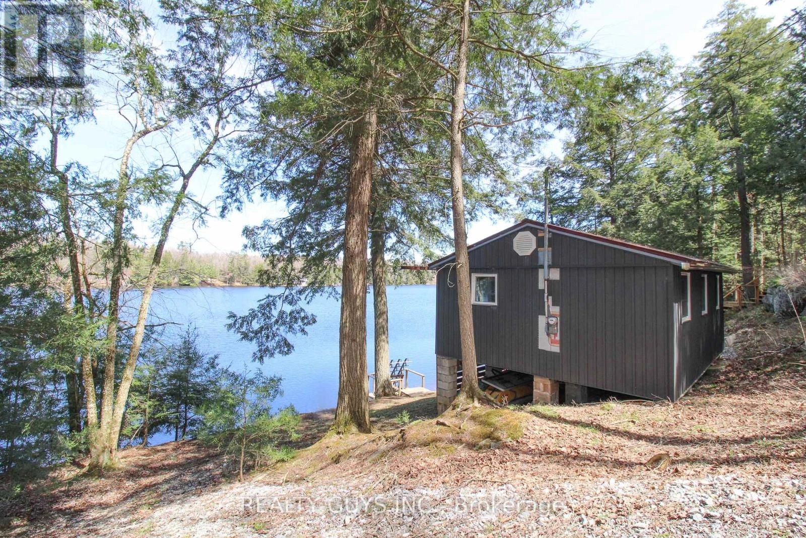 959 Beaver Lake Road, Trent Lakes, Ontario  K0L 1J0 - Photo 1 - X12282389