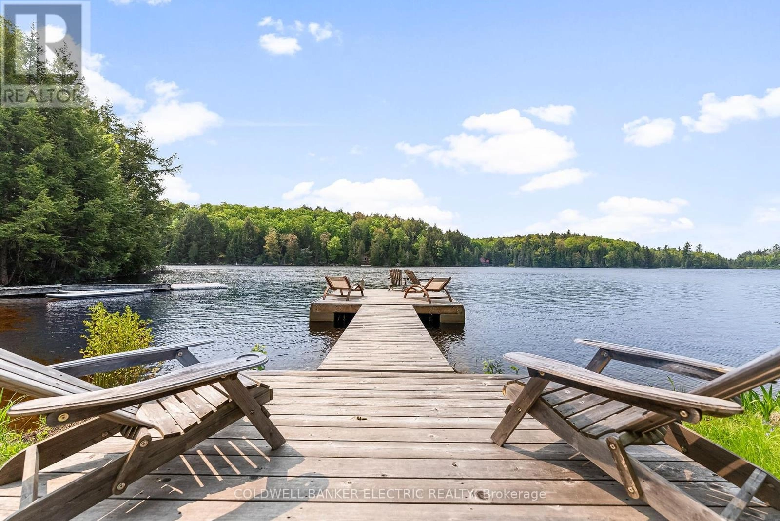 3637 Madawaska Road, South Algonquin, Ontario  K0L 2R0 - Photo 1 - X12282430