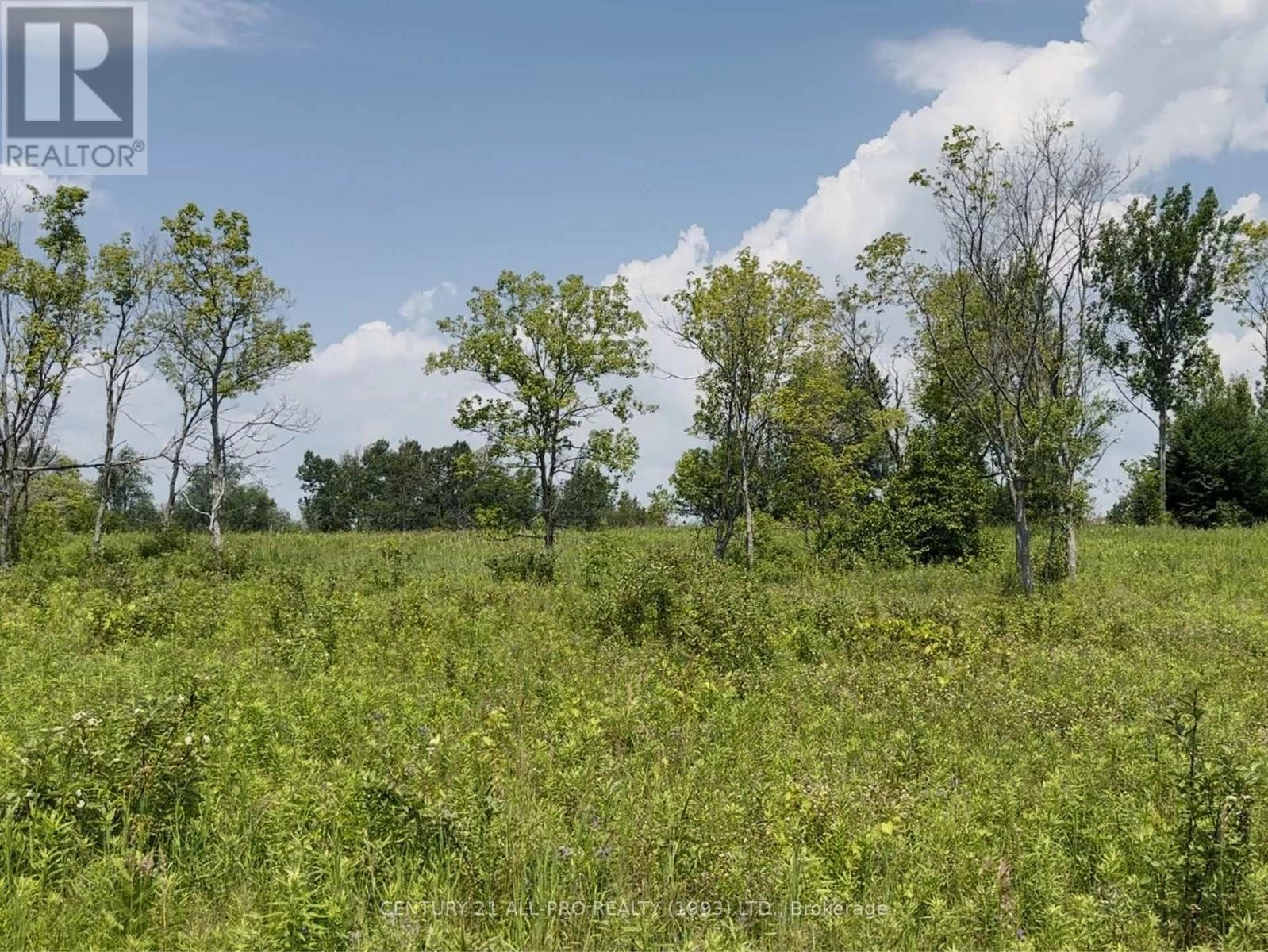Lot 1 Victoria Beach Road, Cramahe, Ontario  K0K 1S0 - Photo 3 - X12216815
