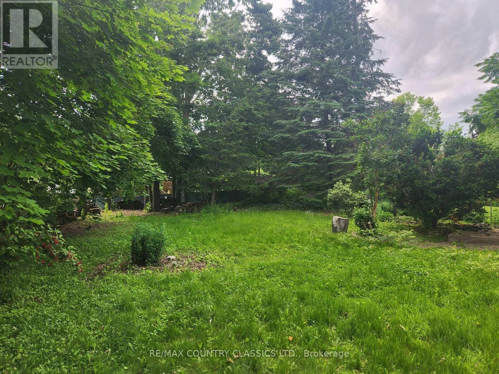 Lower - 7 Beechwood Drive, Peterborough West, Ontario  K9J 1M2 - Photo 2 - X12247292