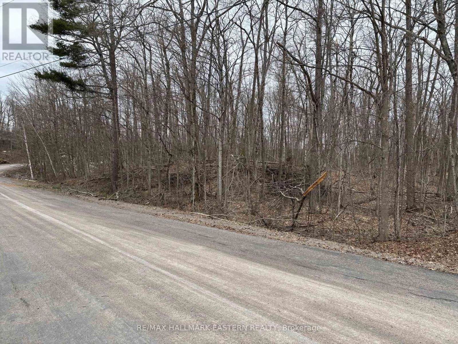 96 Woodland Court, Trent Lakes, Ontario  K0L 1J0 - Photo 2 - X12285606