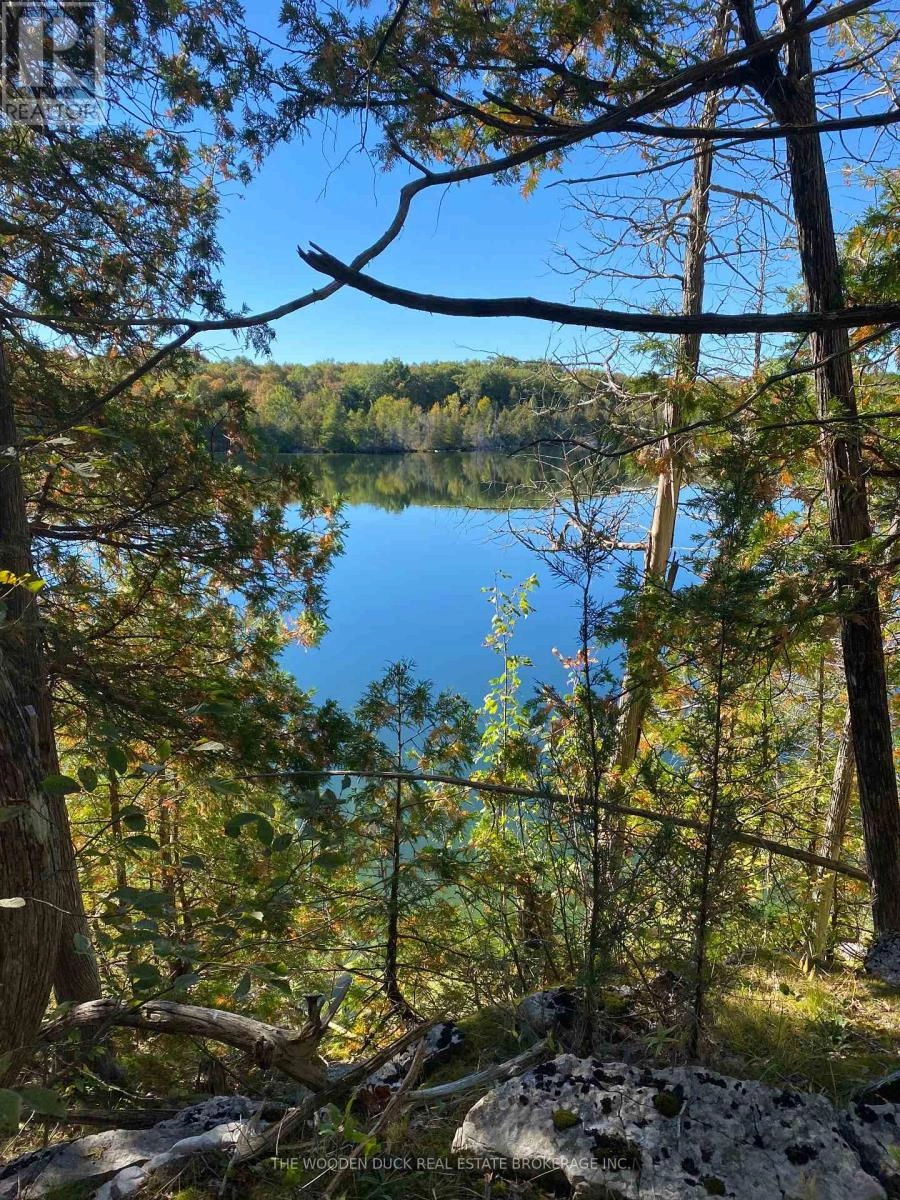 0 Moneymore Road, Tweed, Ontario  K0K 3J0 - Photo 1 - X12291843