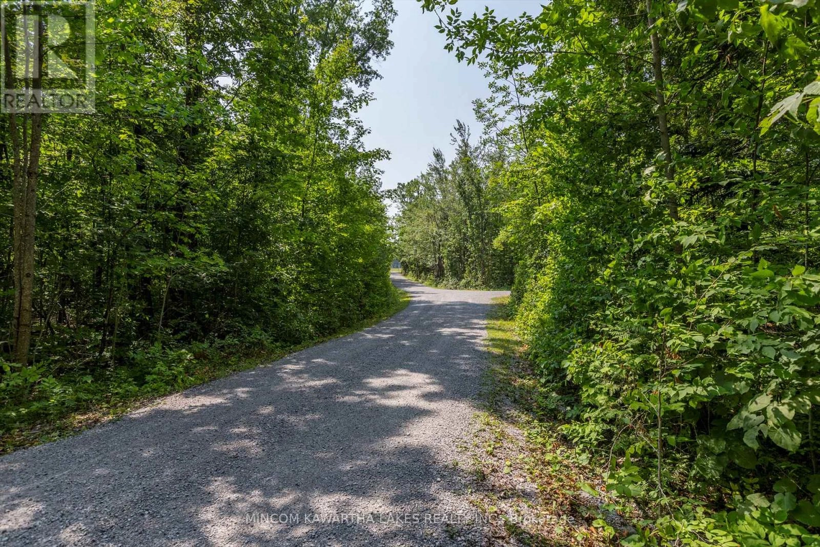 947 Lakehurst Road, Trent Lakes, Ontario  K0L 1J0 - Photo 3 - X12292643