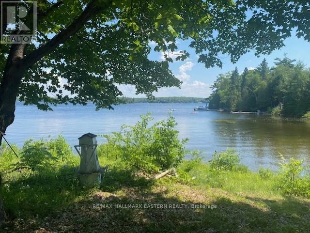 10 Vern Court, Kawartha Lakes, Ontario  K0M 1A0 - Photo 3 - X12293495