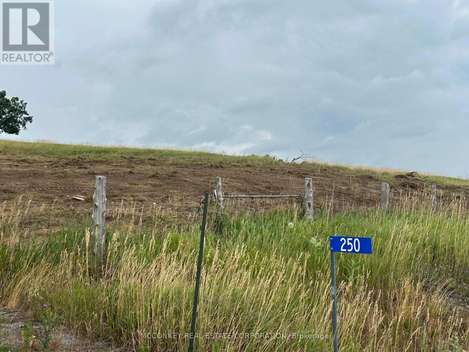 250 Concession Road 13 E, Trent Hills, Ontario  K0L 1Y0 - Photo 1 - X12083807