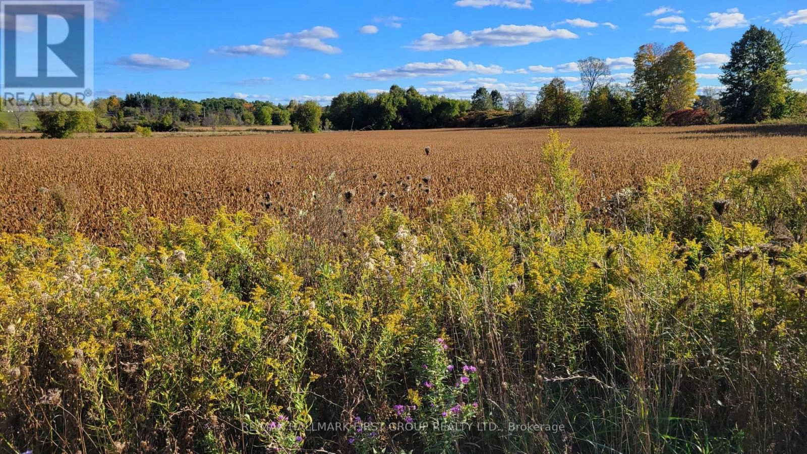 Part 3 Highway 7, Madoc, Ontario  K0K 2K0 - Photo 3 - X12294940